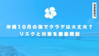 沖縄10月の海でクラゲは大丈夫？リスクと対策を徹底解説