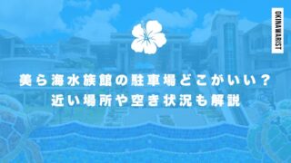 美ら海水族館の駐車場はどこがいい？近い場所や空き状況も解説