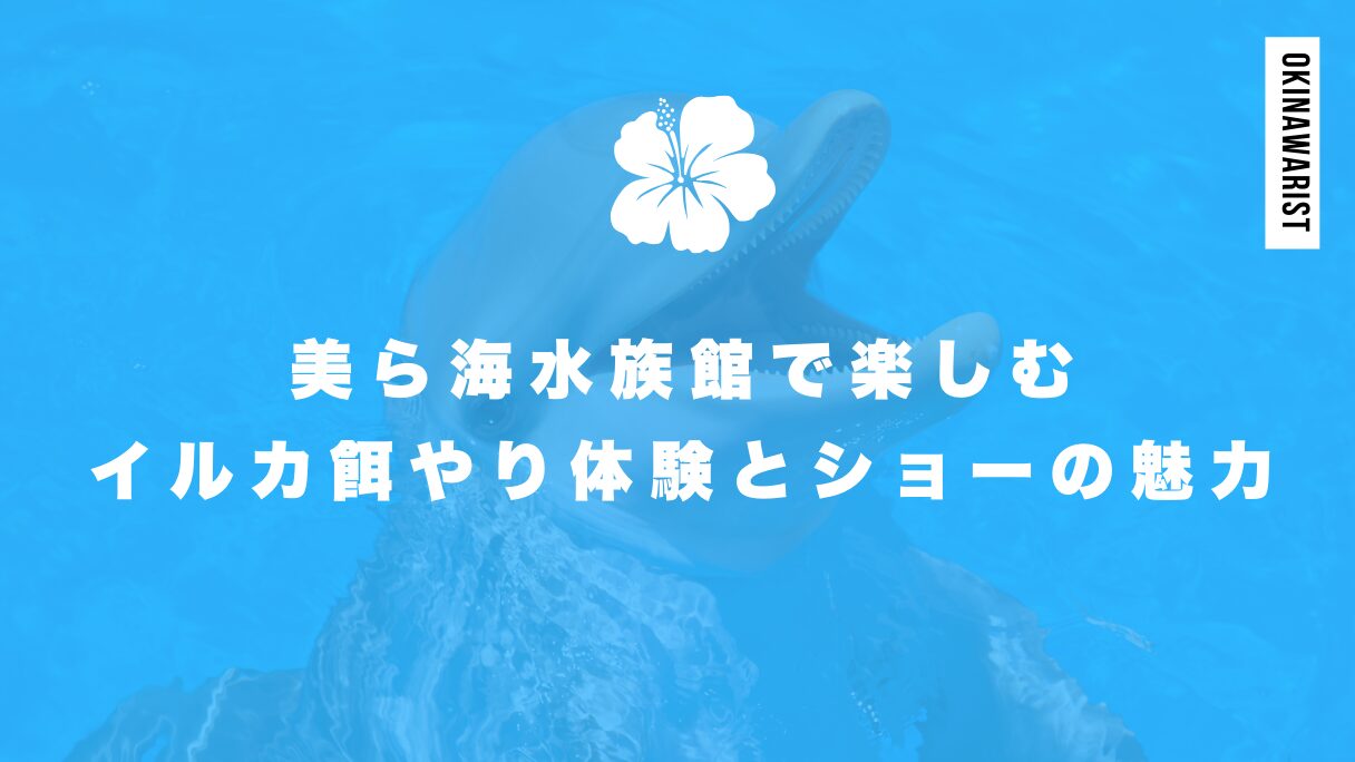 美ら海水族館で楽しむイルカ餌やり体験とショーの魅力