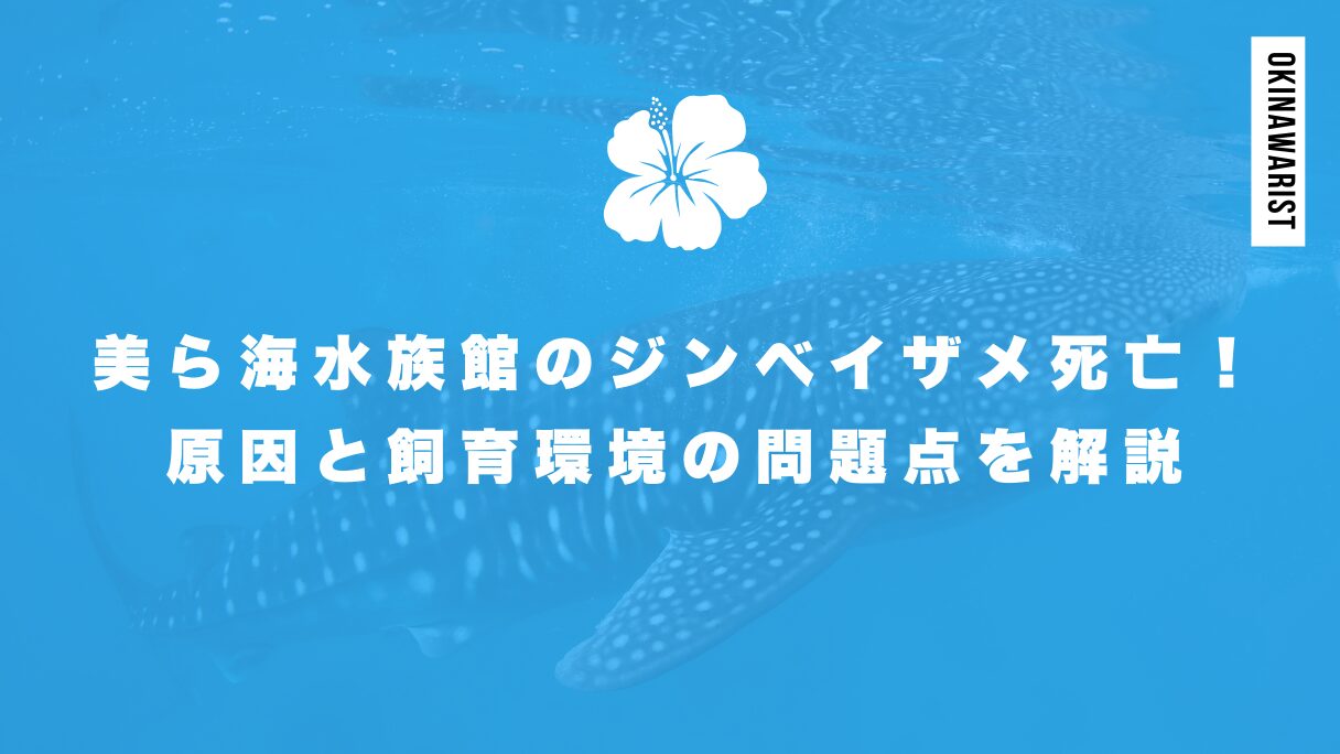 美ら海水族館のジンベイザメが死亡！原因と飼育環境の問題点を解説