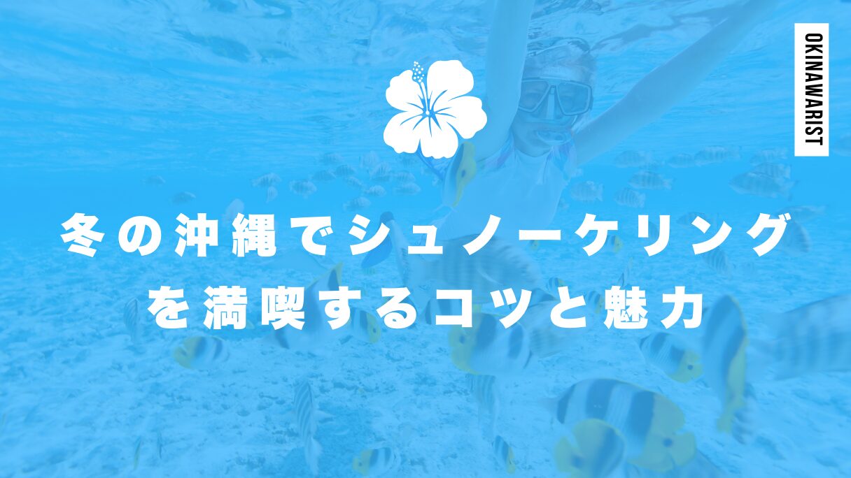 冬の沖縄でシュノーケリングを満喫するコツと魅力