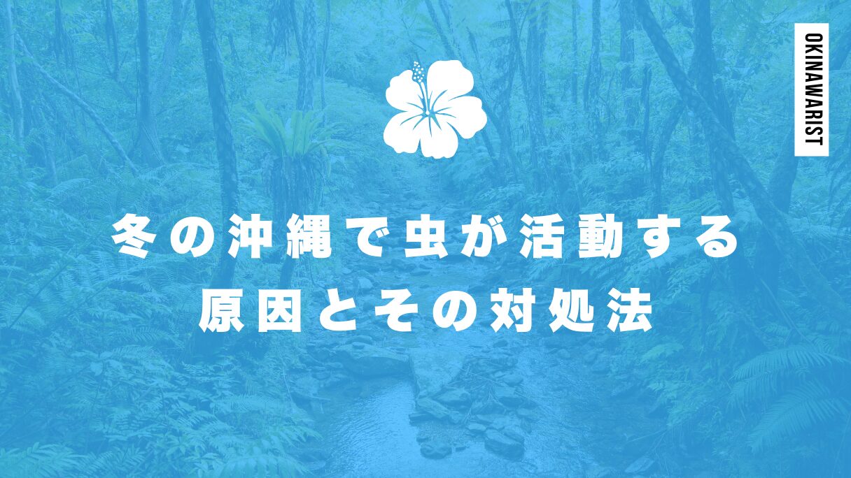 冬の沖縄で虫が活動する原因とその対処法