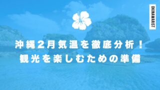 沖縄2月気温を徹底分析！観光を楽しむための準備について