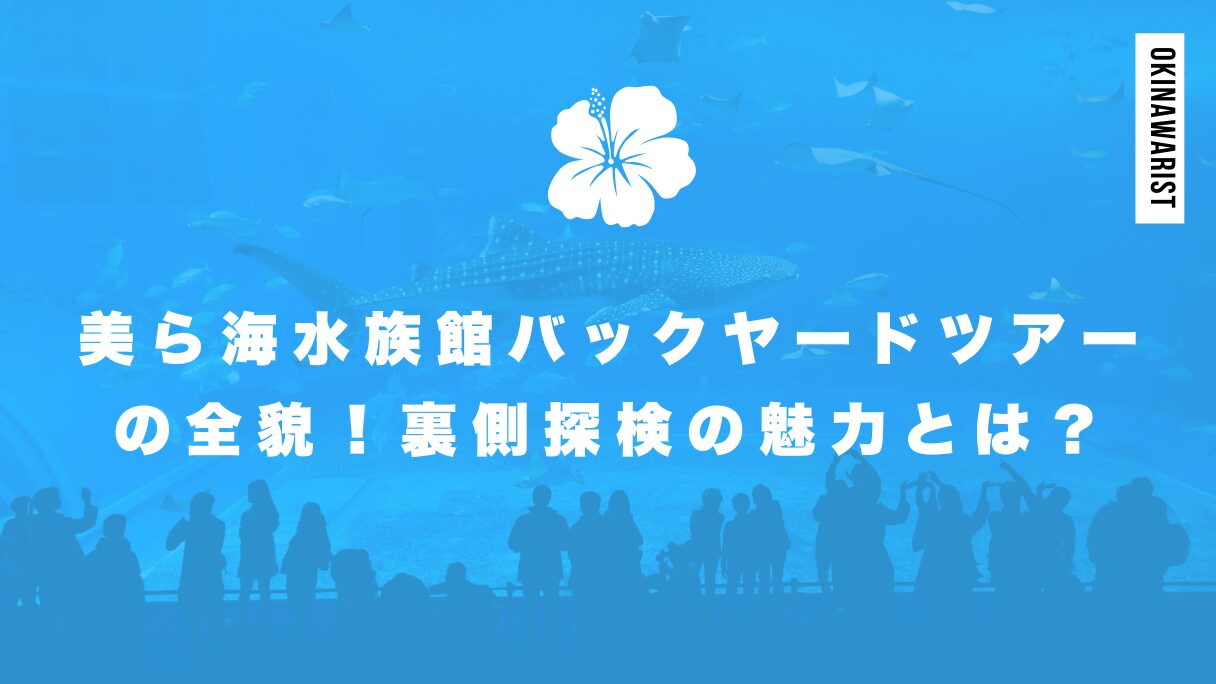 美ら海水族館バックヤードツアーの全貌！裏側探検の魅力とは？