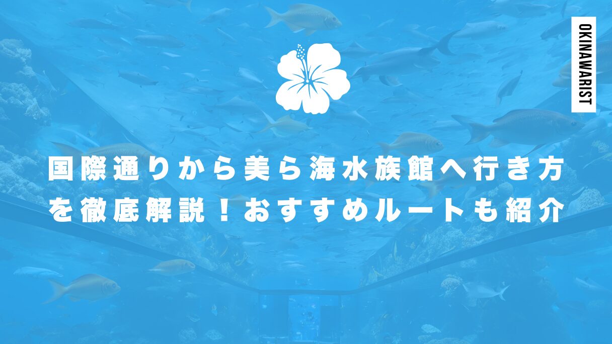 国際通りから美ら海水族館への行き方を徹底解説！おすすめルートも紹介