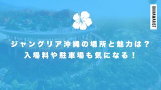 ジャングリア沖縄の場所と魅力を解説!入場料や駐車場も気になる!