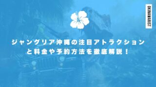 ジャングリア沖縄の注目アトラクションと料金や予約方法を徹底解説!