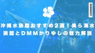 沖縄水族館おすすめ2選!美ら海水族館とDMMかりゆしの魅力を解説