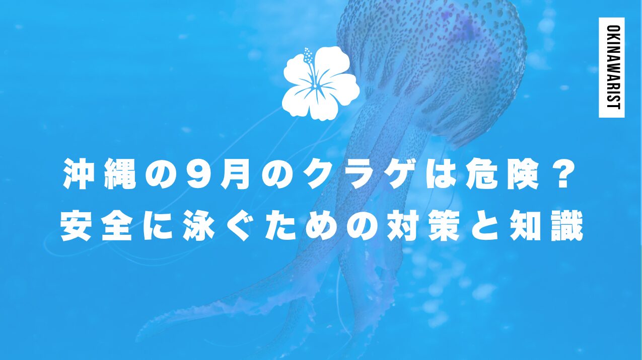 沖縄の9月のクラゲは危険?安全に泳ぐための対策と知識