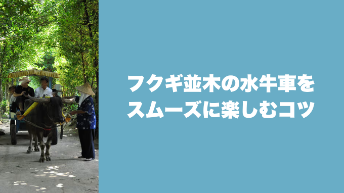 フクギ並木の水牛車をスムーズに楽しむコツ
