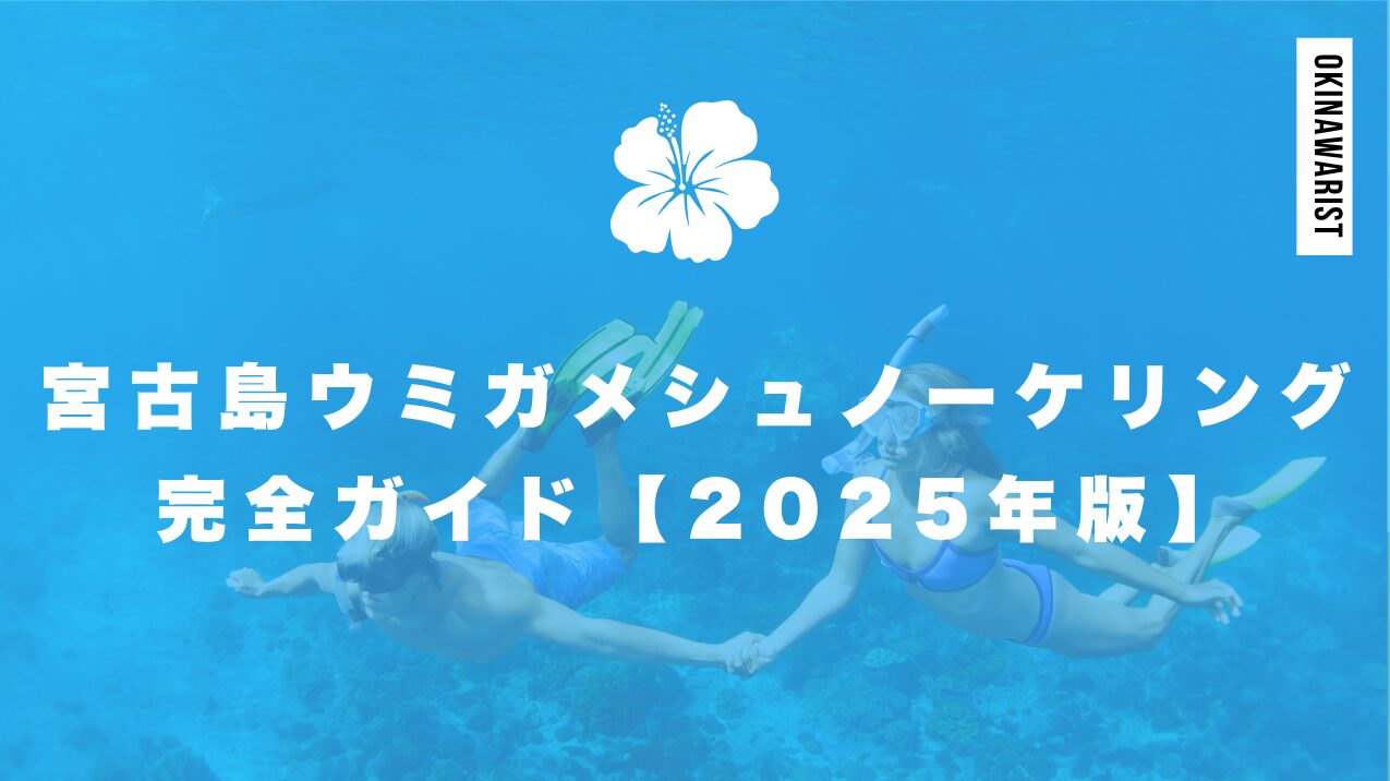 宮古島ウミガメシュノーケリング完全ガイド【2025年版】
