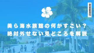 美ら海水族館の何がすごい？絶対外せない魅力的な見どころを解説