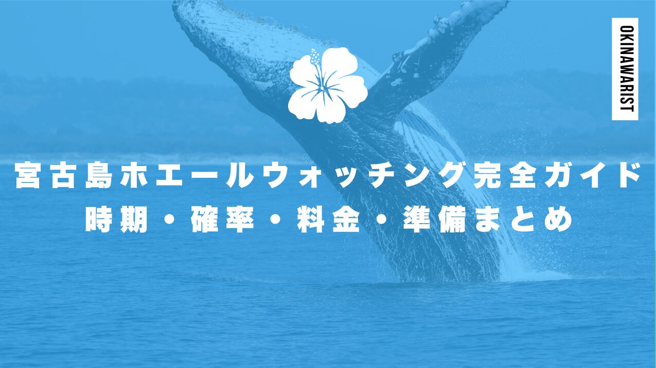 宮古島ホエールウォッチング完全ガイド|時期・確率・料金・準備まとめ