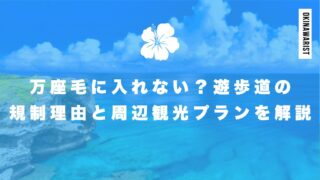 万座毛に入れない？遊歩道の規制理由と周辺観光プランを解説