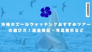 【2026最新】沖縄ホエールウォッチングおすすめツアー徹底比較！返金保証・写真無料など