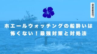 ホエールウォッチングの船酔いは怖くない！最強対策と対処法